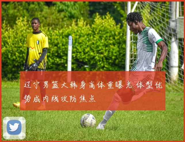 辽宁男篮大韩身高体重曝光 体型优势成内线攻防焦点