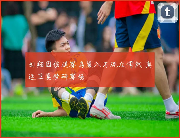 刘翔因伤退赛鸟巢八万观众愕然 奥运卫冕梦碎赛场