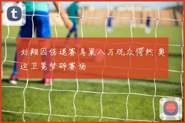 刘翔因伤退赛鸟巢八万观众愕然 奥运卫冕梦碎赛场